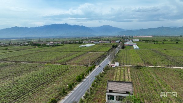 千层金配资 【乡路上，感受脉动中国】“美丽乡路”服务提质 “地标鲜果”助力振兴