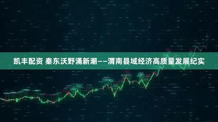 凯丰配资 秦东沃野涌新潮——渭南县域经济高质量发展纪实