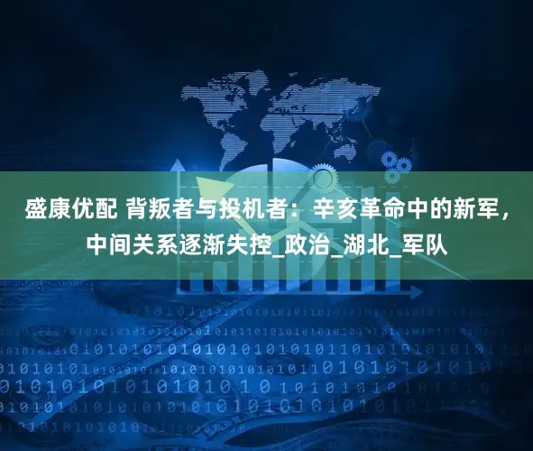 盛康优配 背叛者与投机者：辛亥革命中的新军，中间关系逐渐失控_政治_湖北_军队