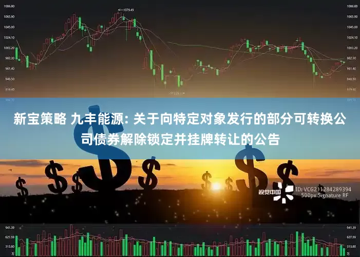 新宝策略 九丰能源: 关于向特定对象发行的部分可转换公司债券解除锁定并挂牌转让的公告